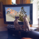 Illustration for article titled Where To Watch The Dakar Rally